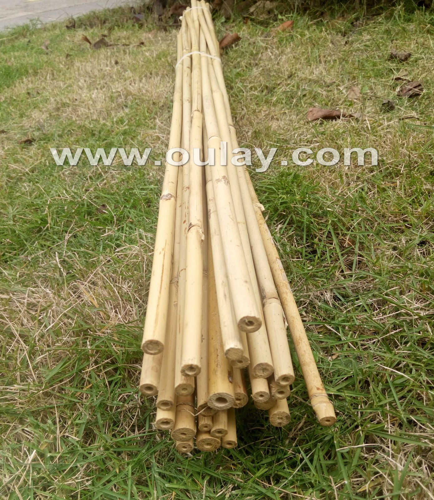 90cm bamboo poles for plants