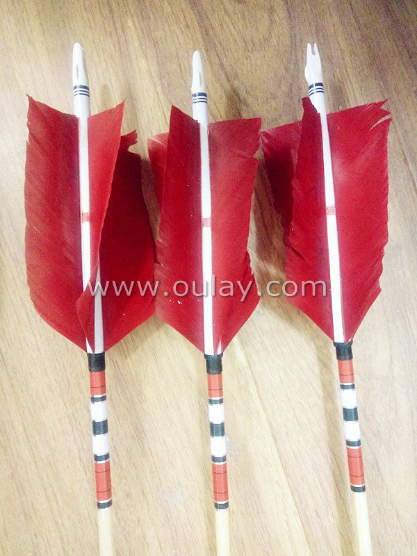 Wooden arrows with red shield  feather