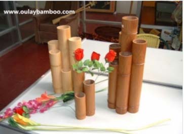 Dry Short Bamboo Canes for Decoration