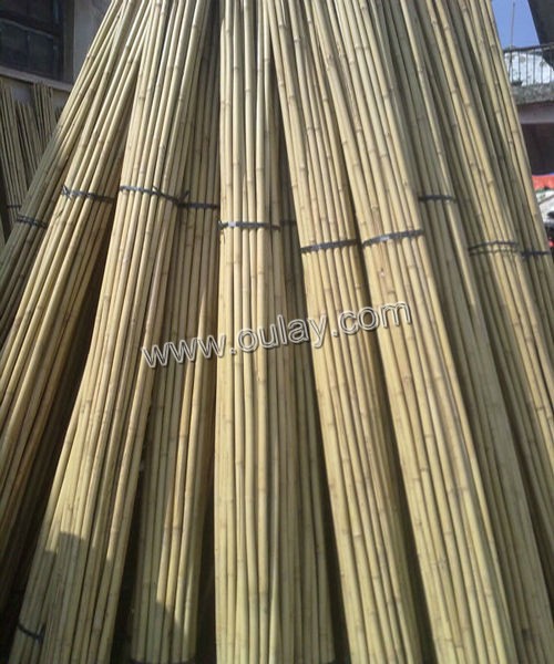 bamboo poles for garden