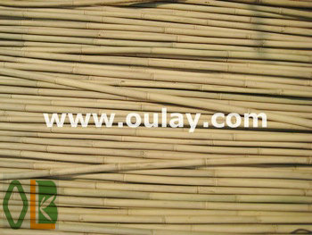 10~12 tonkin bamboo canes