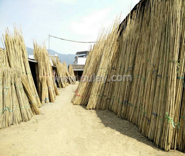 eco-friendly tonkin bamboo poles