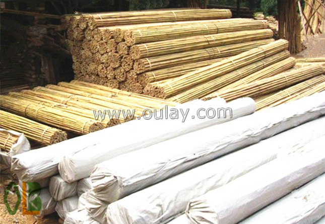 small garden bamboo poles