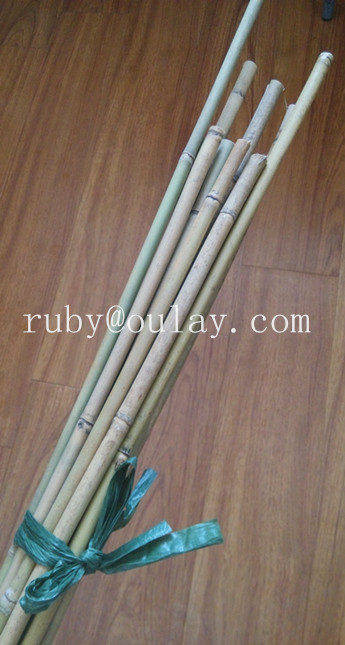 Fujian bamboo canes sale