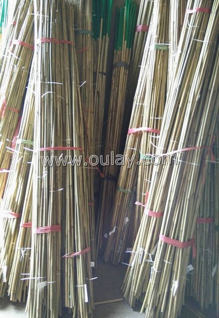 smal package bamboo stakes