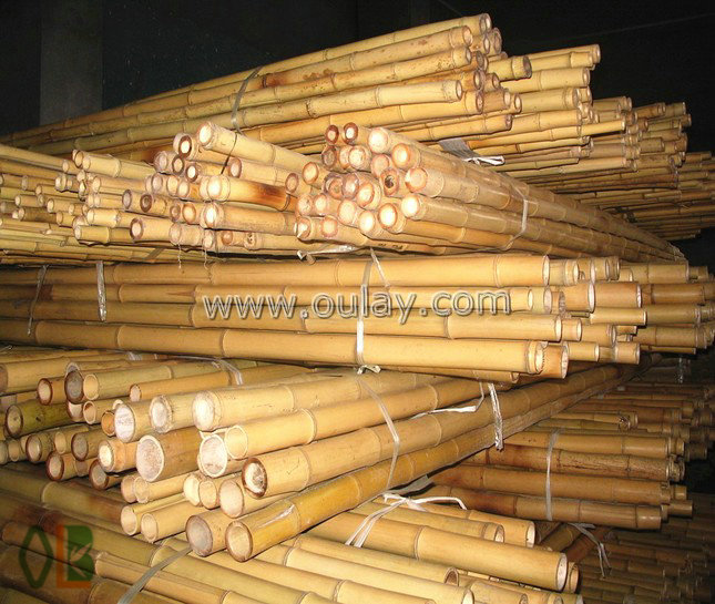 different sizes bamboo stakes