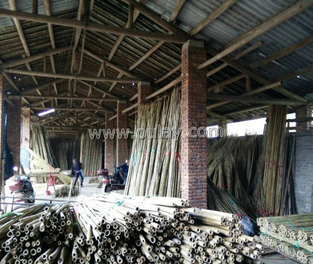 bamboo poles produce