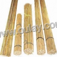 agriculture bamboo canes