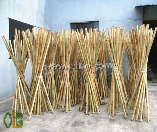 oulay bamboo canes