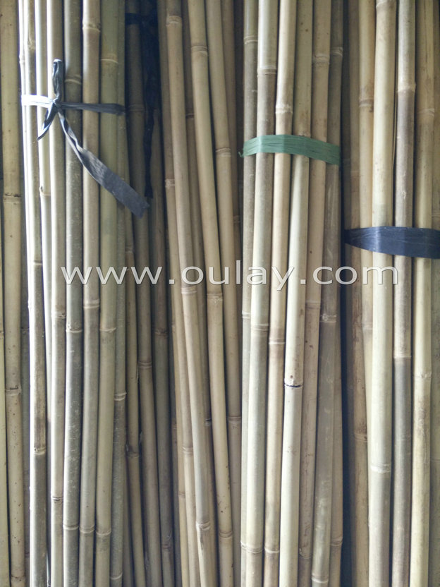 raw bamboo poles wholesale for construction