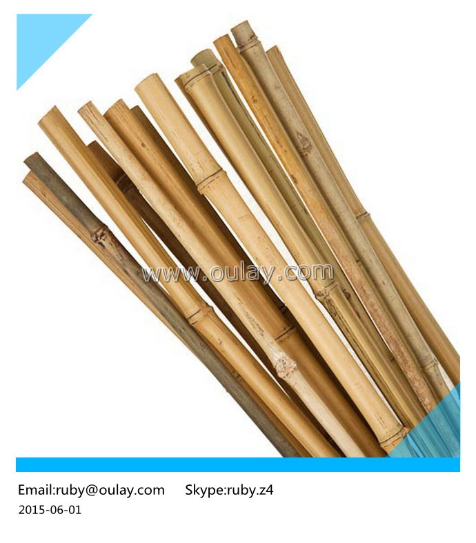 cheap tonkin bamboo canes