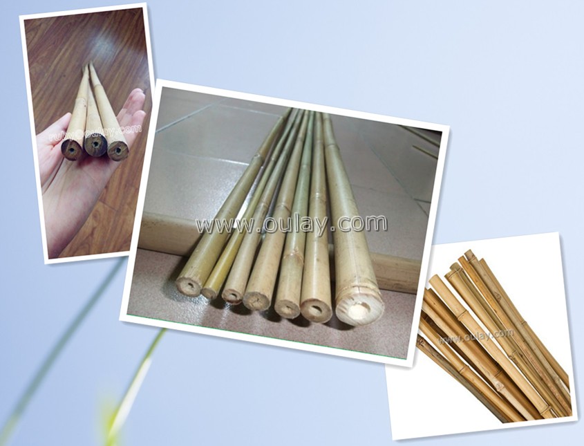 thick walled bamboo poles for sale