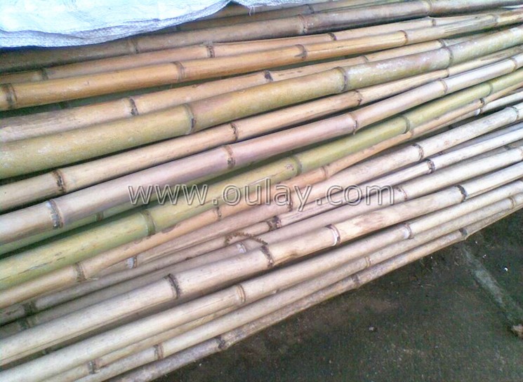bamboo raw material