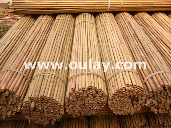Tonkin bamboo canes