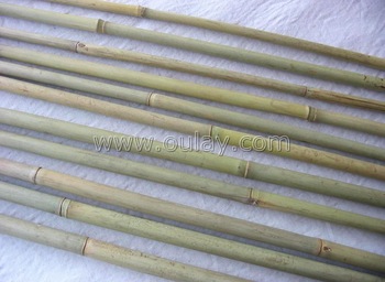 Tonkin bamboo