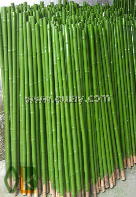 green bamboo poles