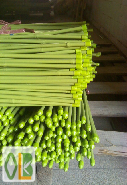 green bamboo plastic poles