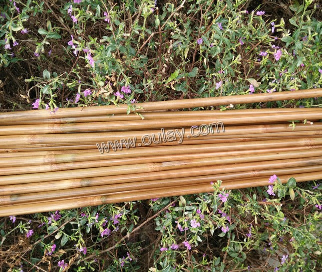 Bamboo arrow shafts for sale