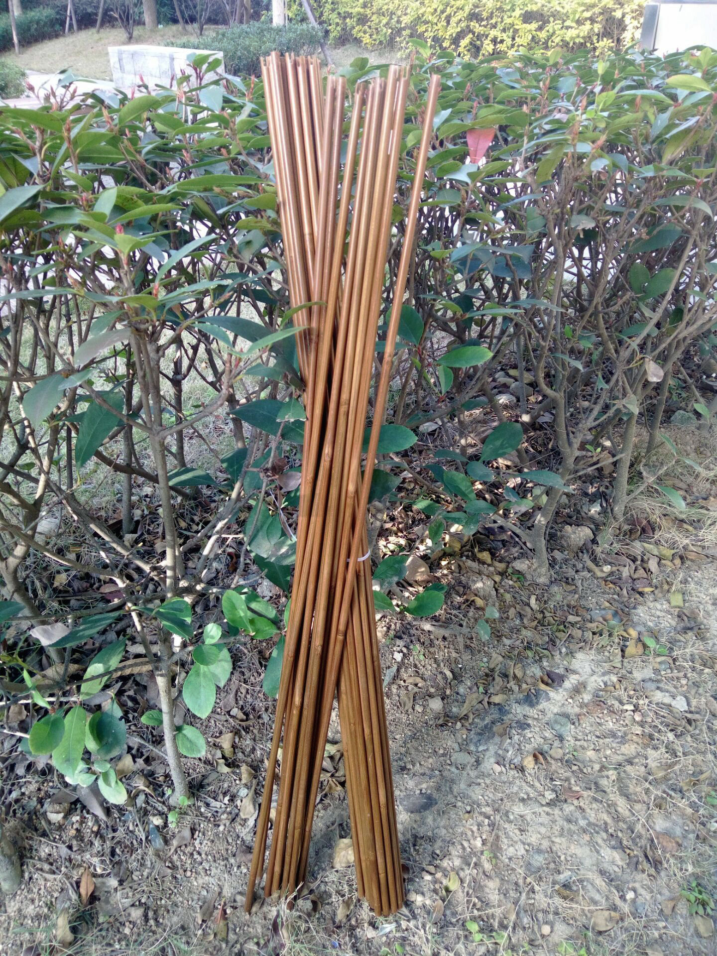 Accurate spine rate of 84cm SELF NOCK bamboo arrow shaft