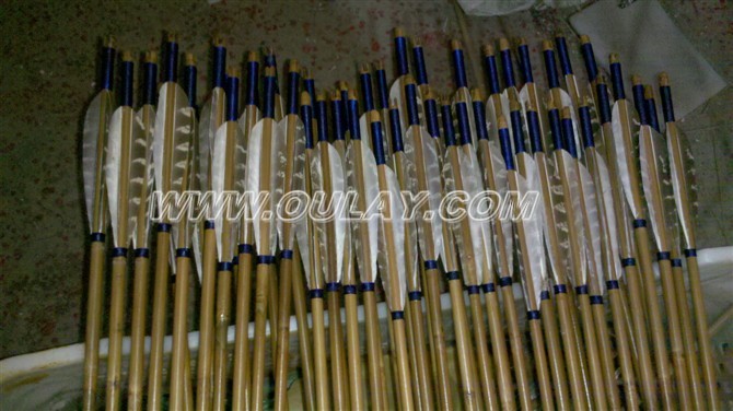 Bamboo arrows
