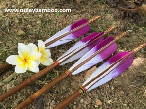 Bamboo Arrows with Fancy purple Fletched