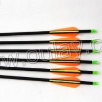 carbon hunting arrows