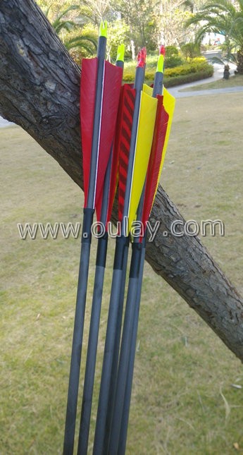 barred fletchings carbon arrows