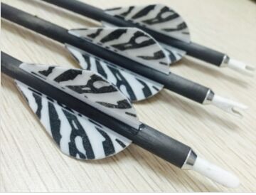 31inch Squeezed Carbon Fiber Arrows without points