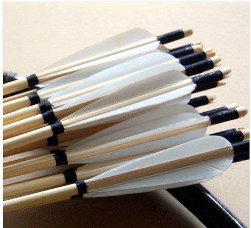 wood arrows for practice