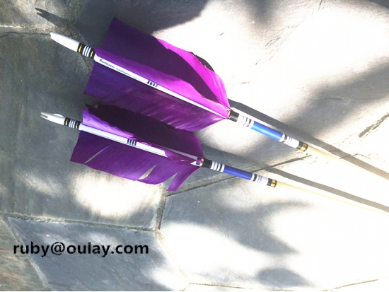 Purple Flu Flu Arrows With Four Slanting Feathers  wood arrows