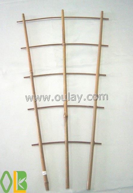bamboo cane trellis