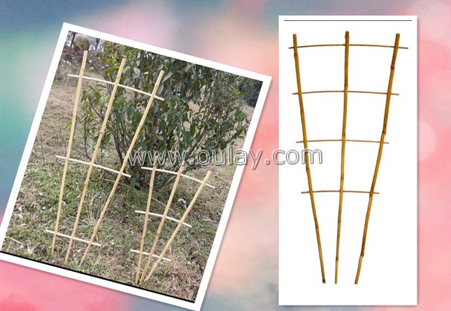 tonkin bamboo trellis