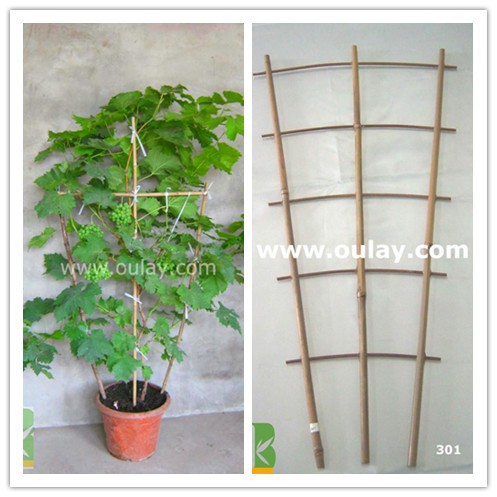 plant pot grape trellis for supporting