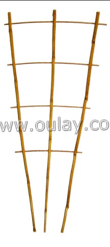 bamboo canes trellis