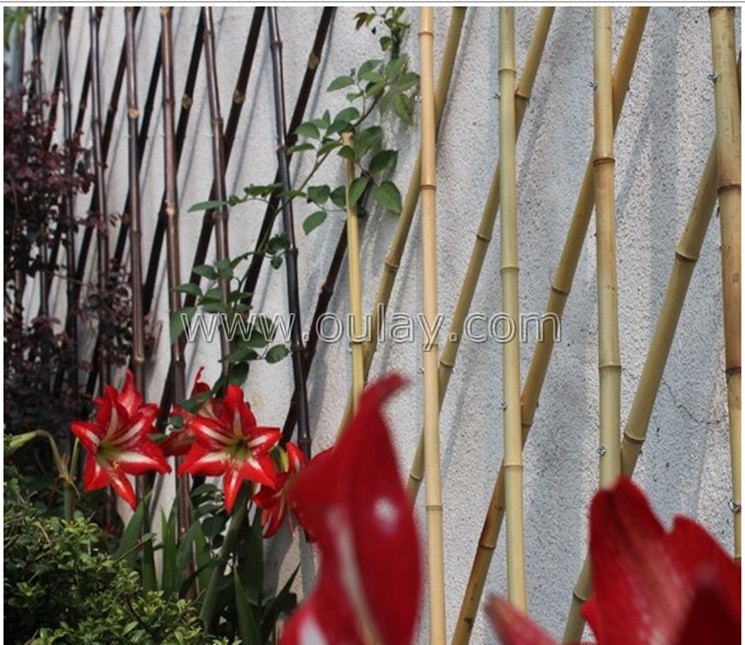 bamboo trellis for flowers
