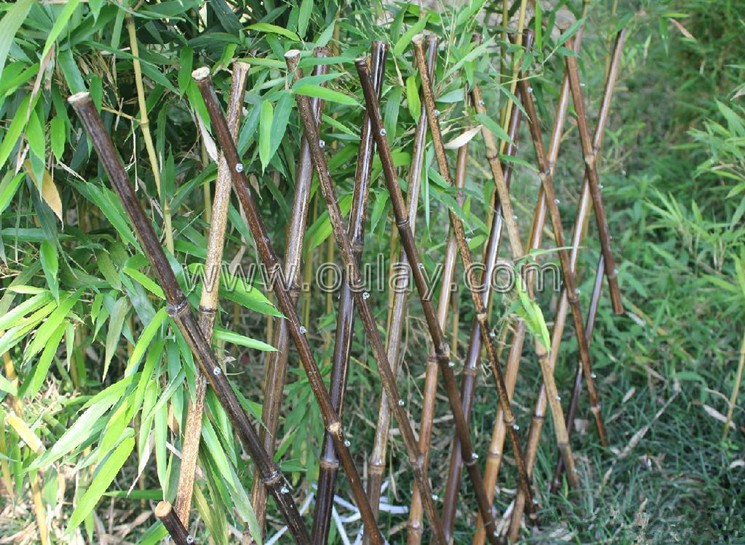 black bamboo canes  trellis
