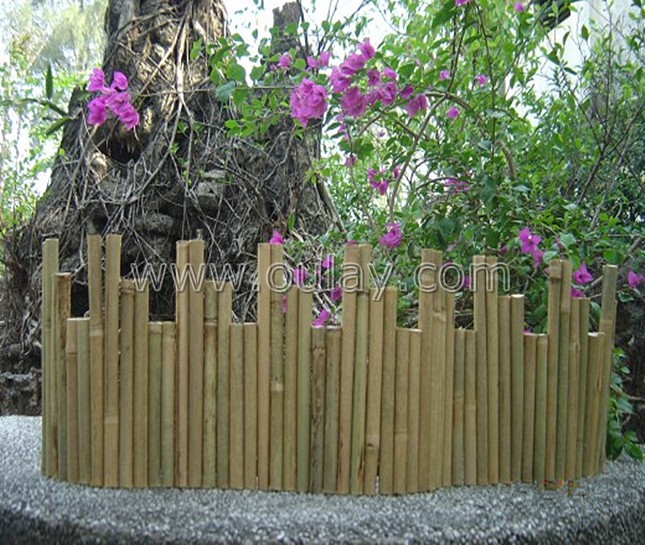 bamboo border for garden