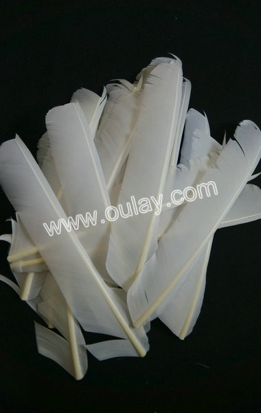 25~30cm feathers full length