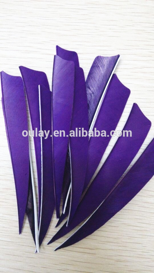 Turkey shield feather purple arrow fletching for  arrows